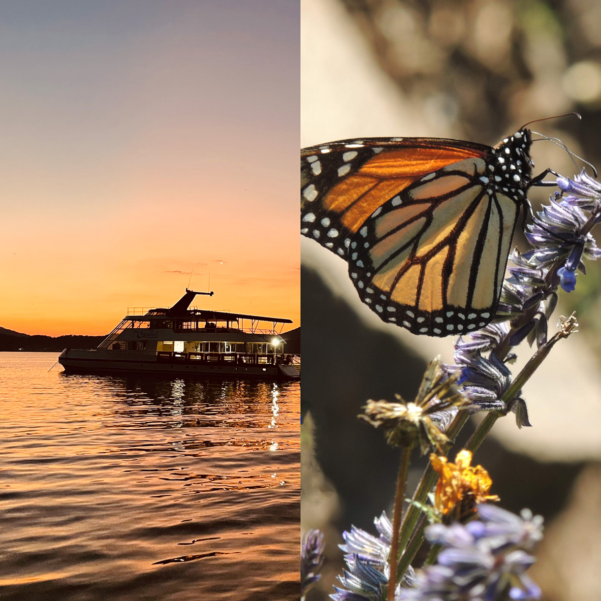Tour Valle de Bravo y Mariposa Monarca