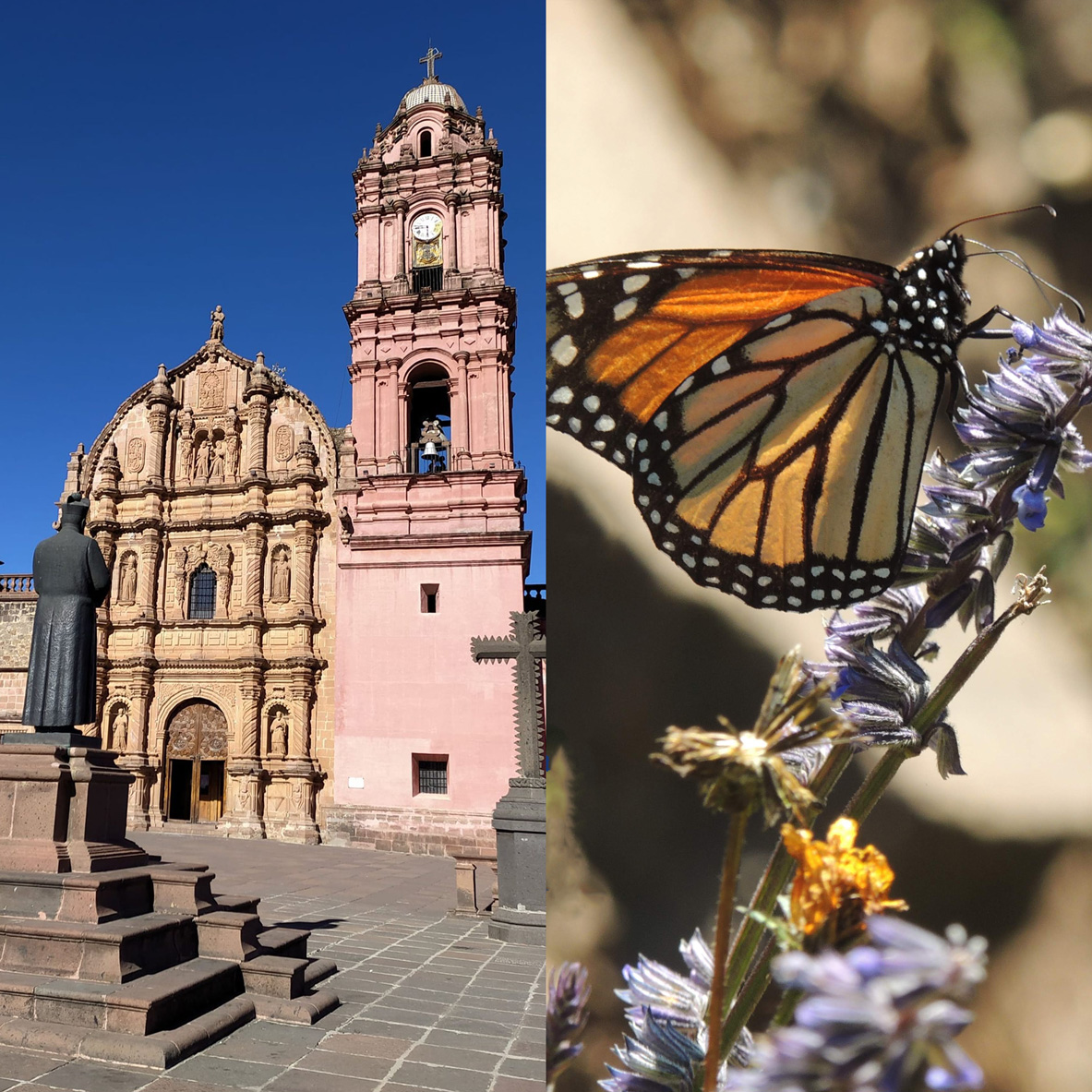 Tour Tlalpujahua y Mariposa Monarca